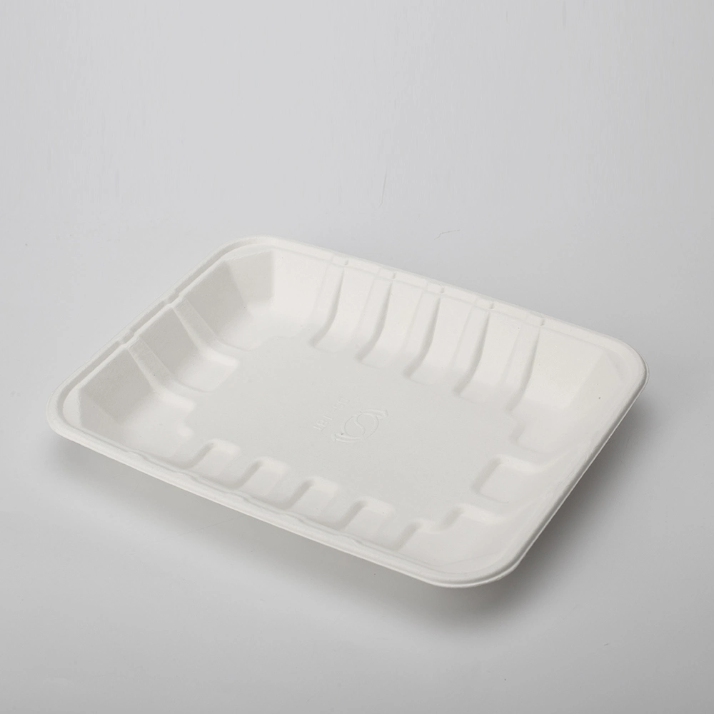 Biodegradable Compostable Sugarcane Bagasse Paper Pulp Tableware Biodegradable Trays