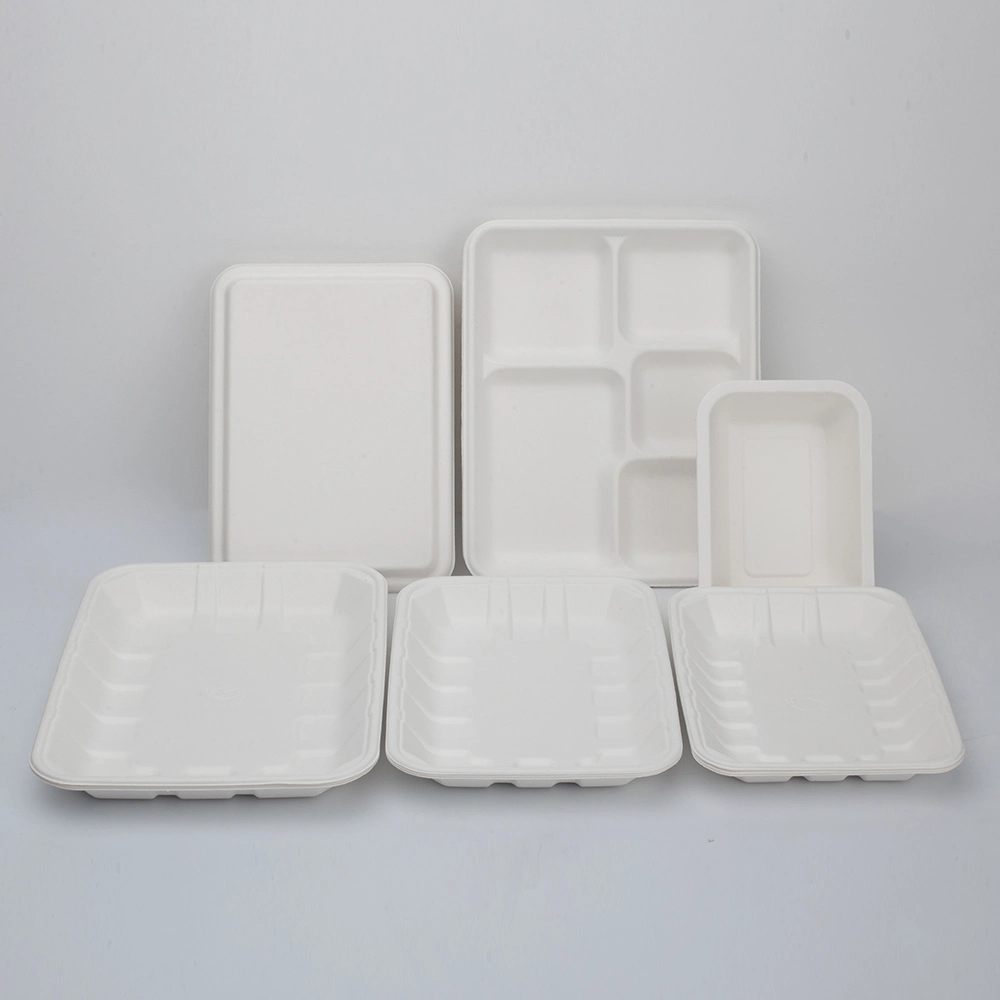 Biodegradable Compostable Sugarcane Bagasse Paper Pulp Tableware Biodegradable Trays