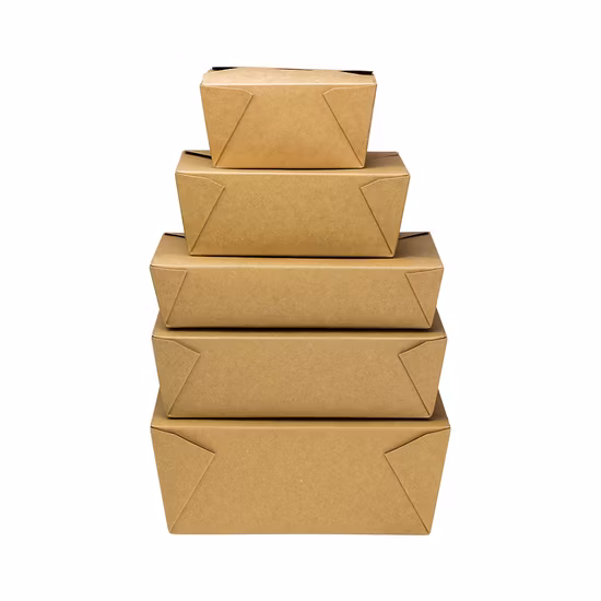 Manufacturing Biodegradable Takeaway Kraft Food Paper Box for Hot Food Packaging