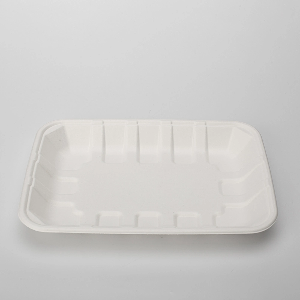 Biodegradable Food Tray Sugarcane Bagasse Paper Pulp Tableware Biodegradable Trays